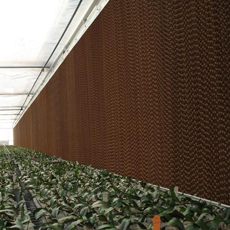 吉林東莞水簾紙廠家直銷